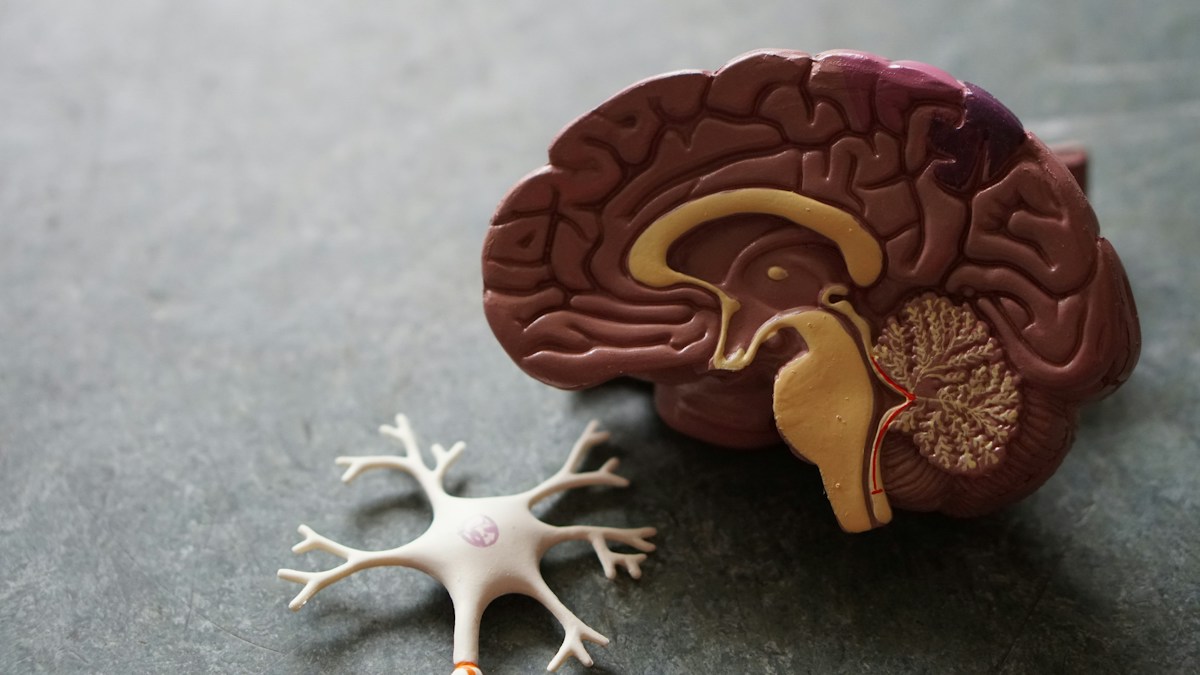 Neuroscience imaging and laboratory diagnostic assay